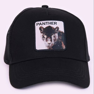 کلاه دیفکتو