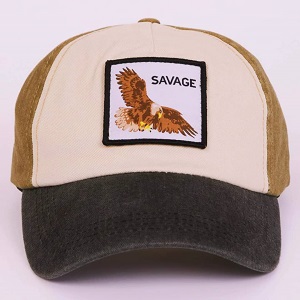 کلاه دیفکتو