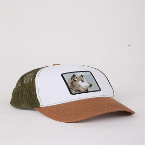 کلاه دیفکتو